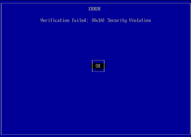 vtoy-verification-error-0x1A